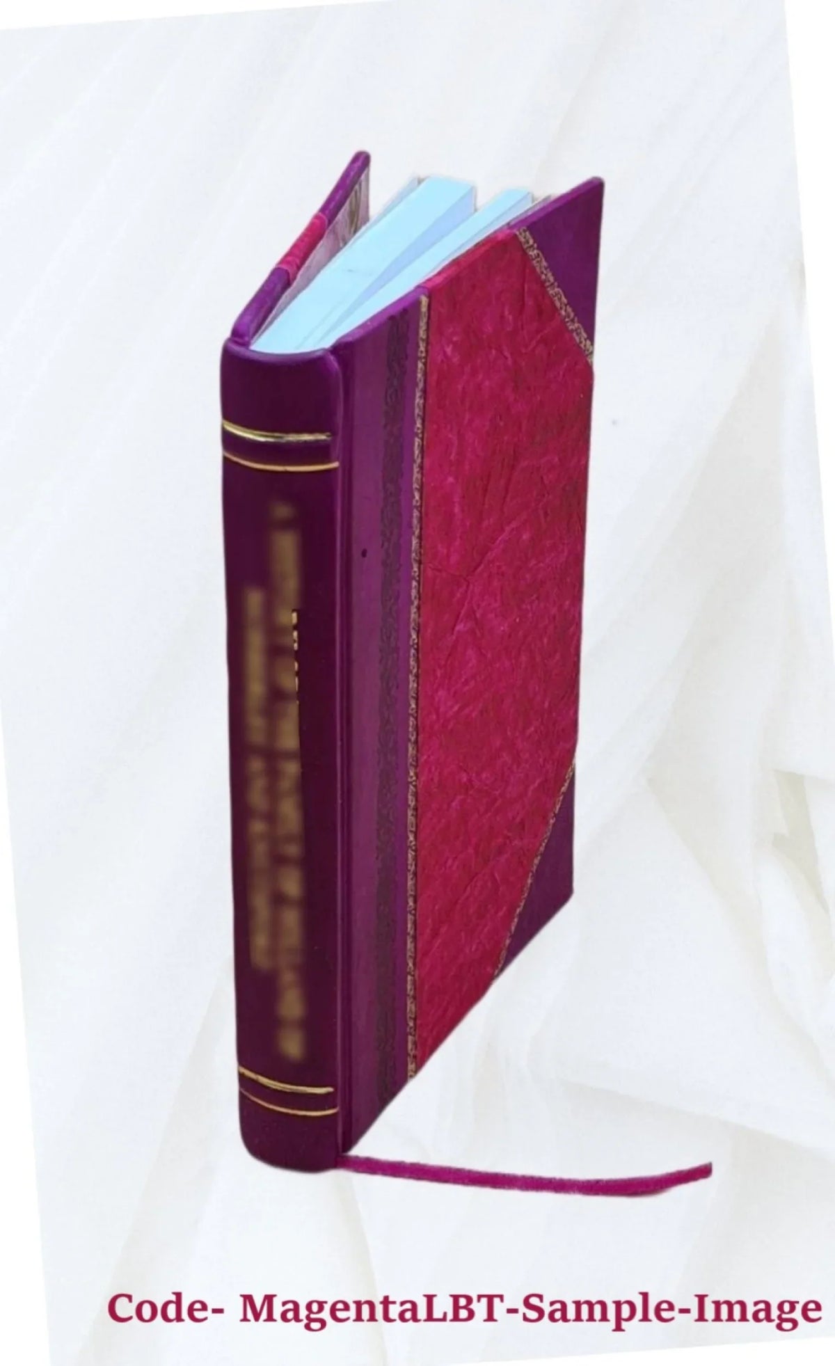 Cost recovery in pricing and capacity decisions for automated information systems / James A. Dei Rossi ; sponsored by the National Science Foundation. 1975 [Leather Bound]
