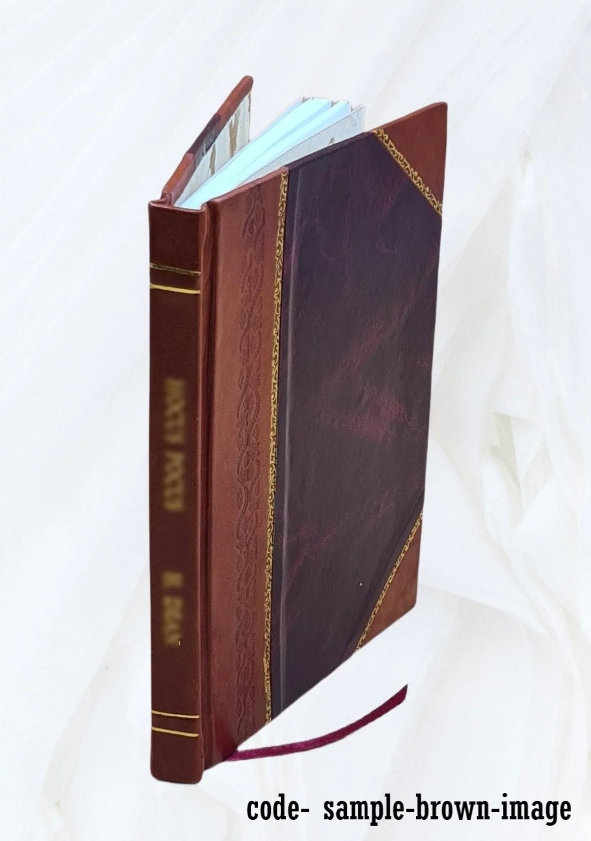 Pisgah National Forest (N.F.), Mills River Unit : environmental impact statement. Volume D 1973 [Leather Bound]