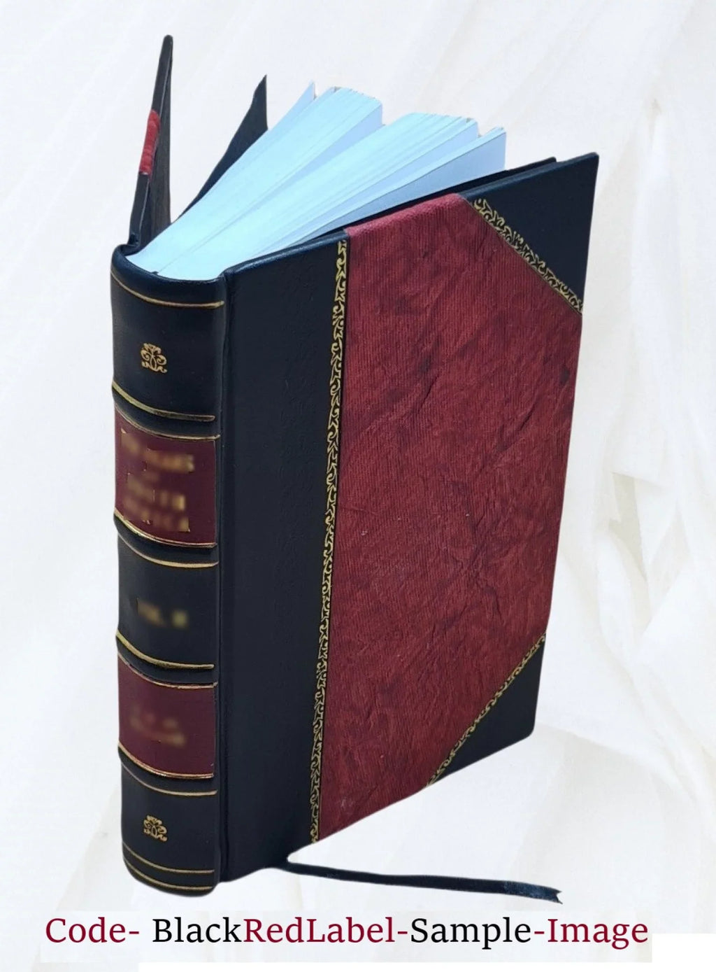 Nez Perce National Forest (N.F.), Red River Unit land use plan : environmental impact statement. Volume D 1976 [Leather Bound]
